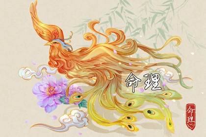 择吉老黄历 择吉日大全 择吉老皇历